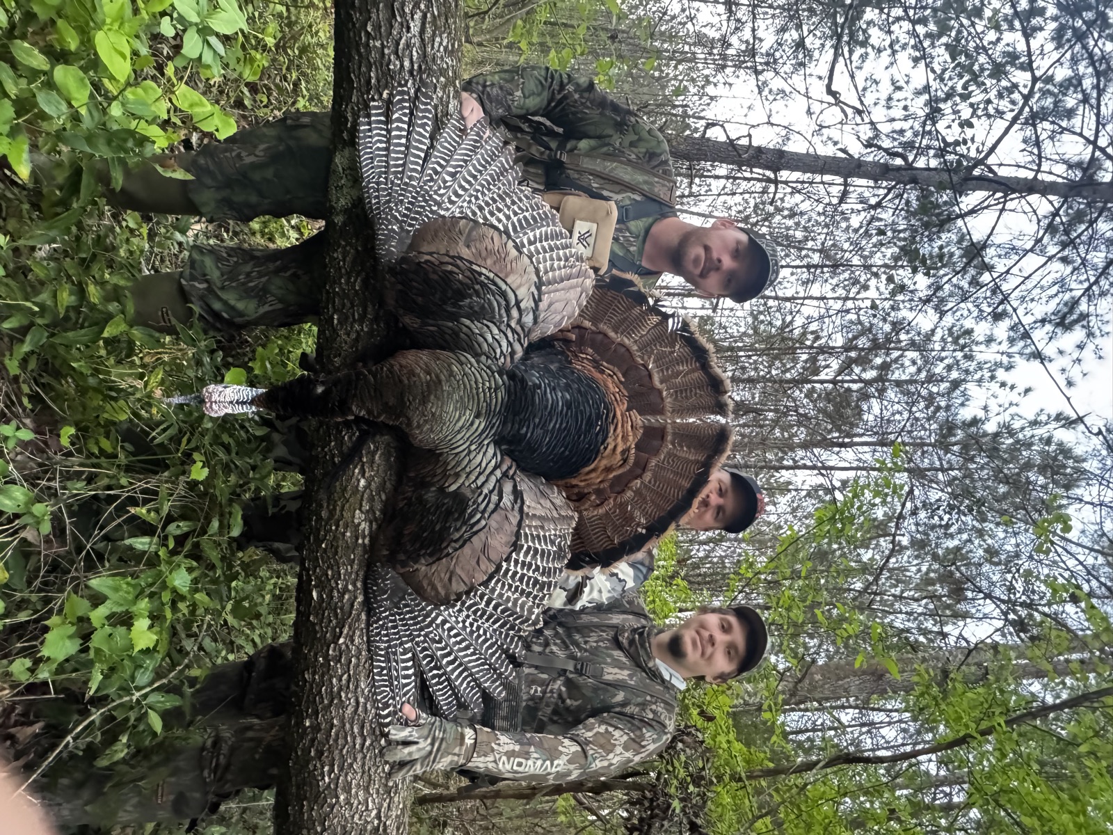 Copiah County - Photo 8